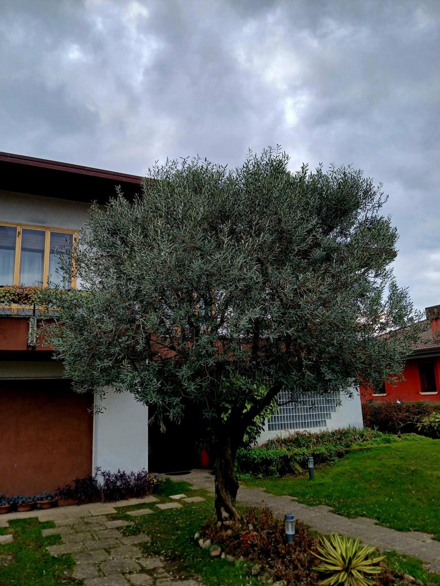 B&B Ponte Marchese Caldogno Zewnętrze zdjęcie