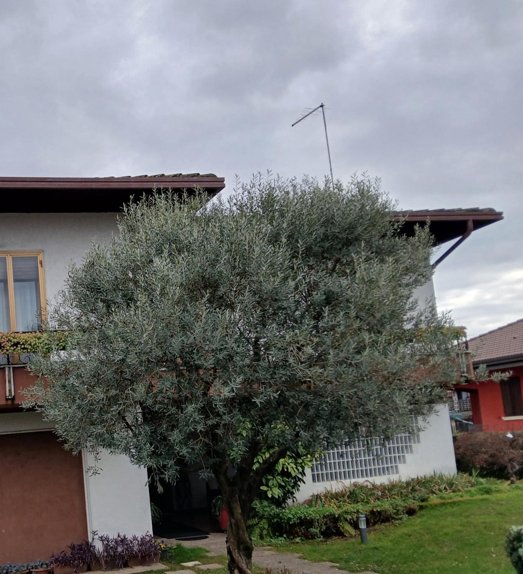 B&B Ponte Marchese Caldogno Zewnętrze zdjęcie